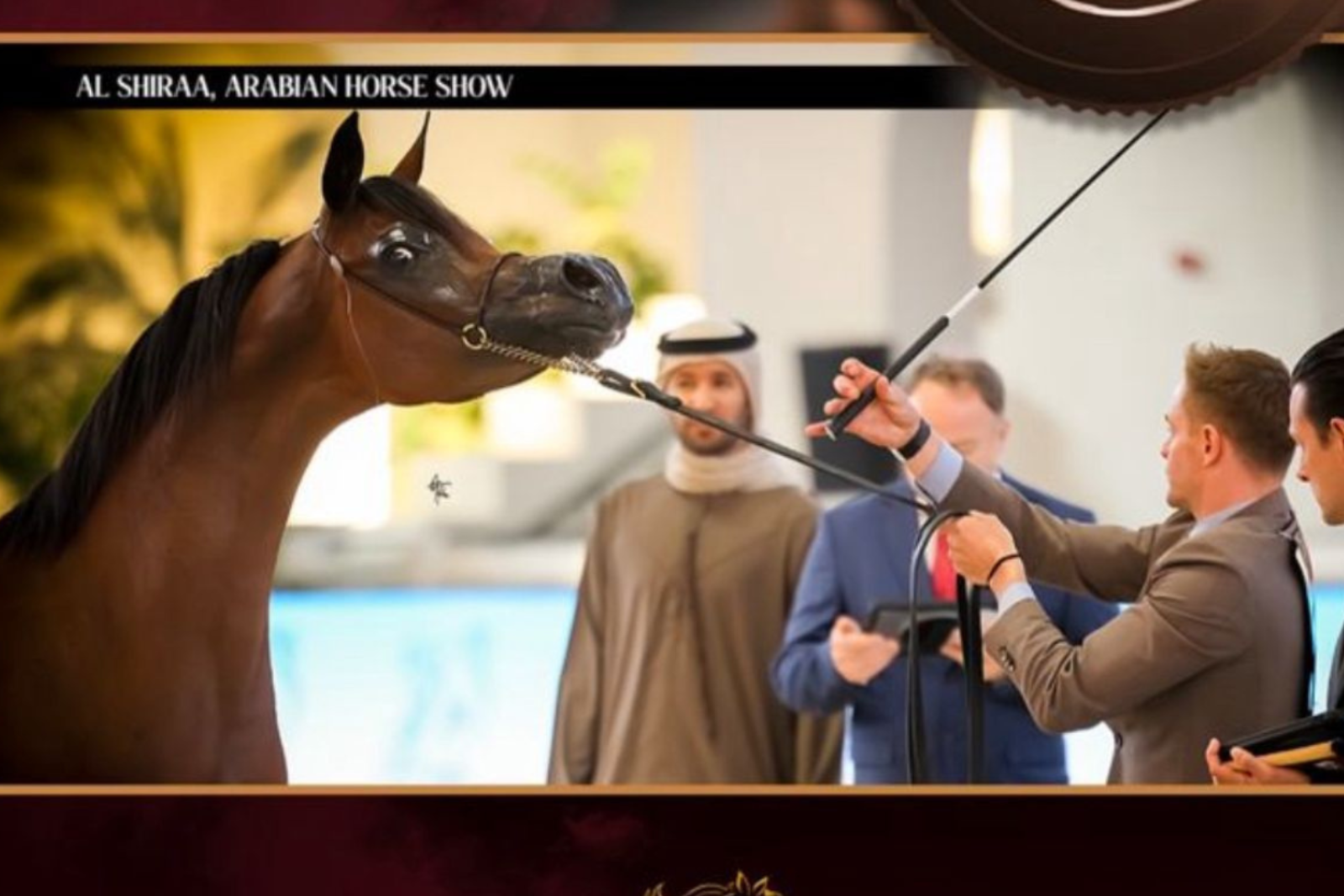 AFRAH AL ETIHAD