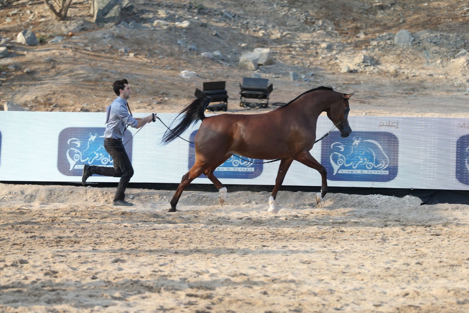 TEST BREEDE 2